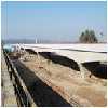 Proof Consultancy Services for checking/reviewing the design/drawing of all components of reconstruction of 515 mtrs. Long major bridge in Km. 12/0 on PCM road NH-20 including approaches over Chakki Khad in Himachal Pradesh.
